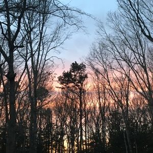 Meet your Posher, Alivia